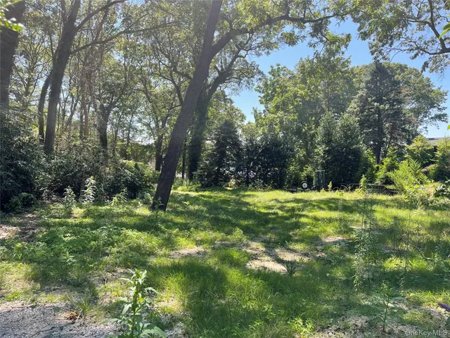 a view of outdoor space with trees all around