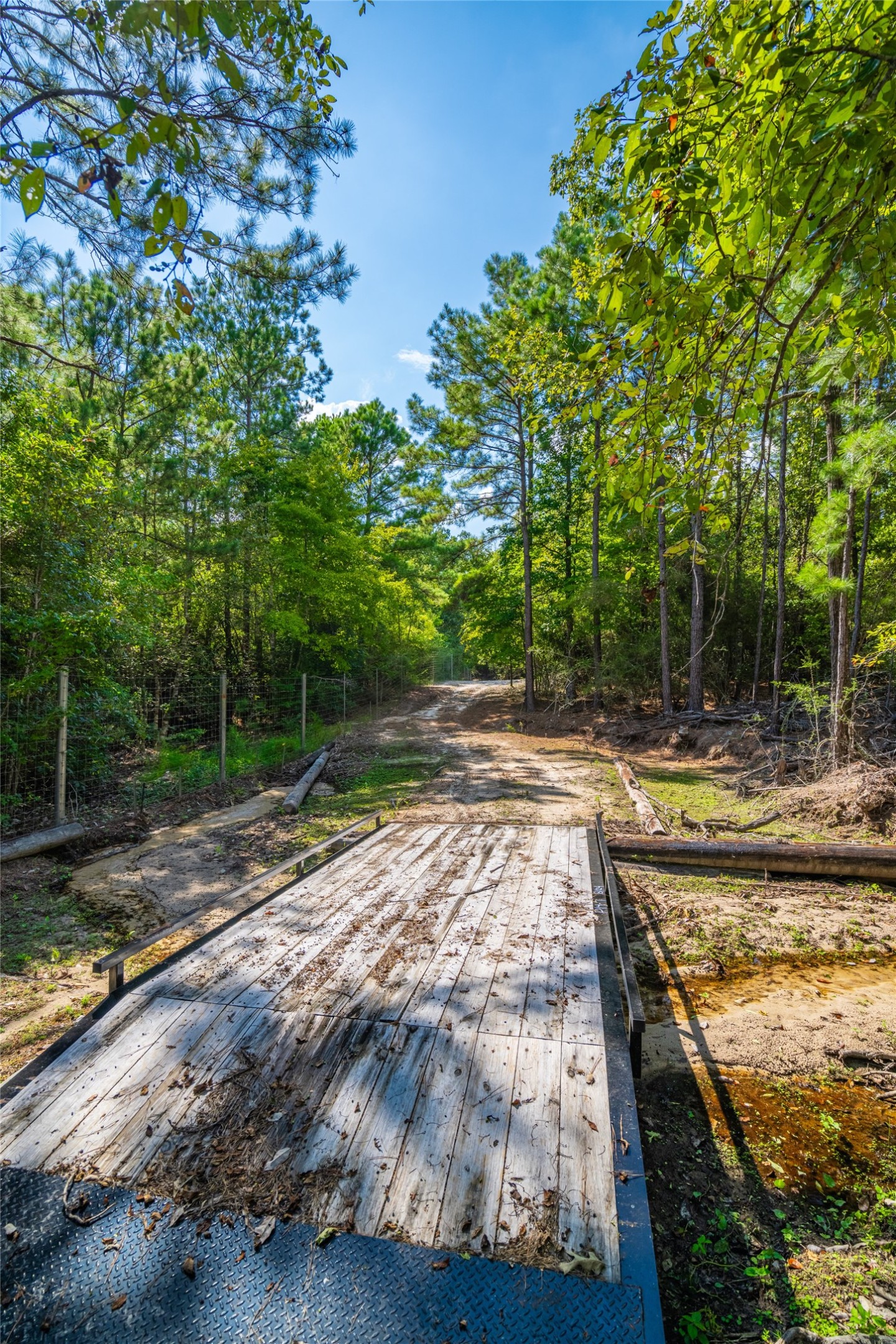 0 Weaver Bend Road Huntington, TX 75949 - Photo 18 of 36 Gallery Image 18