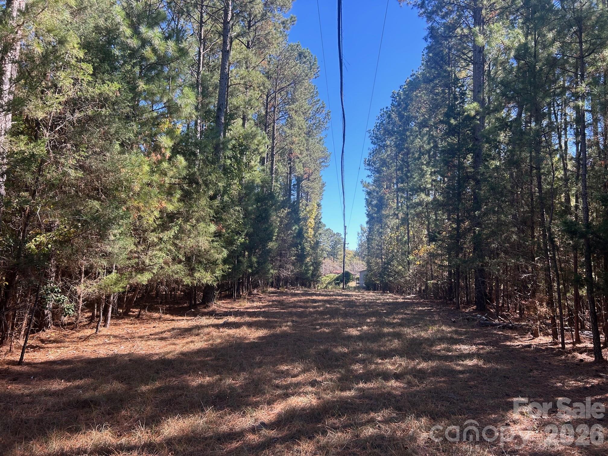 5-ac Lot 2 5-ac Road Richburg, SC 29729 - Photo 12 of 41 a view of a tree in front of a house