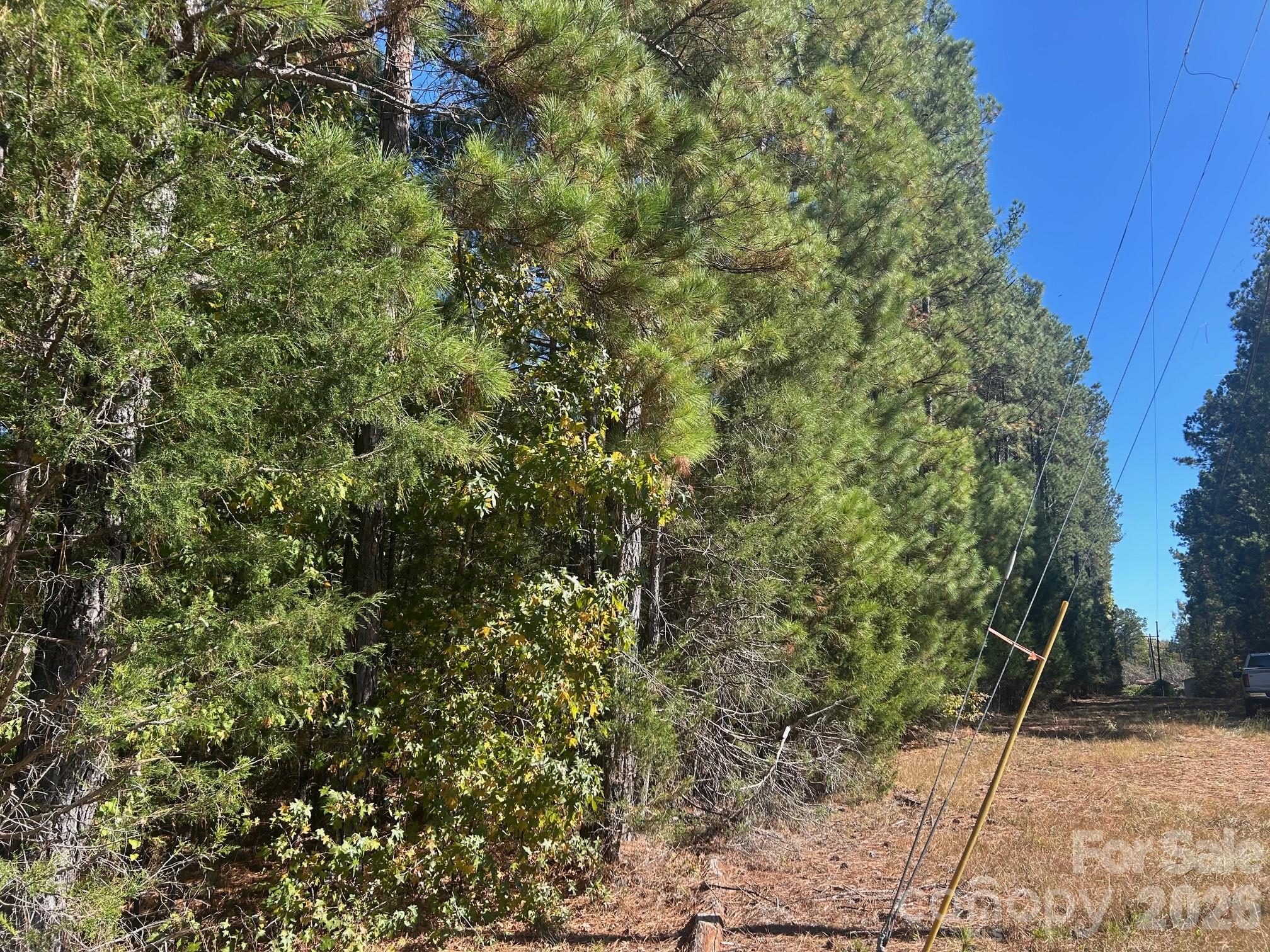 5-ac Lot 2 5-ac Road Richburg, SC 29729 - Photo 16 of 41 a view of a dry yard with plants and tree