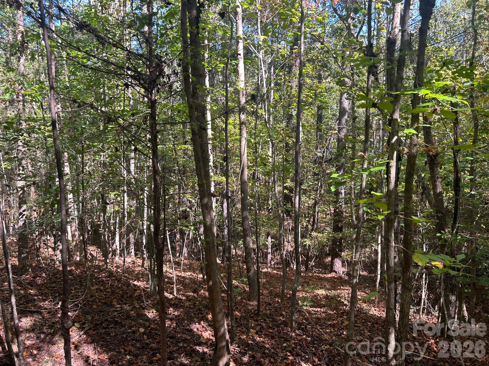 5-ac Lot 2 5-ac Road Richburg, SC 29729 - Photo 31 of 41