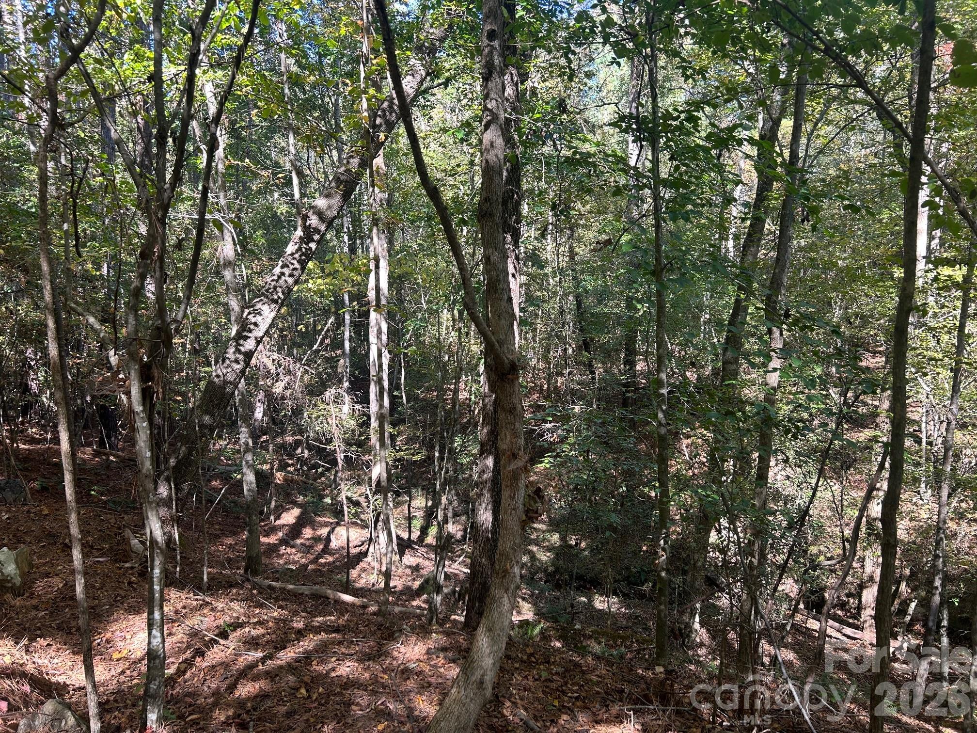 5-ac Lot 2 5-ac Road Richburg, SC 29729 - Photo 33 of 41