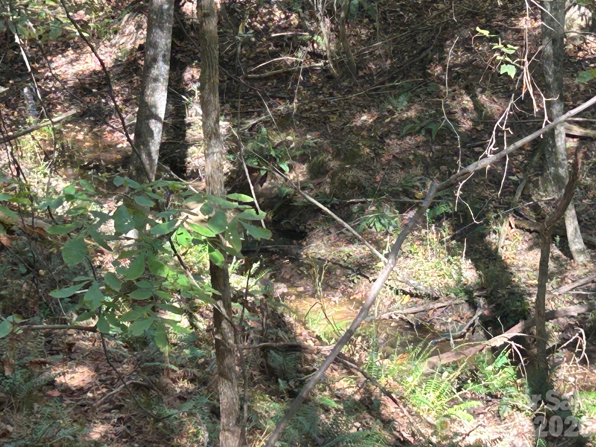 5-ac Lot 2 5-ac Road Richburg, SC 29729 - Photo 34 of 41 a backyard of a house with lots of trees