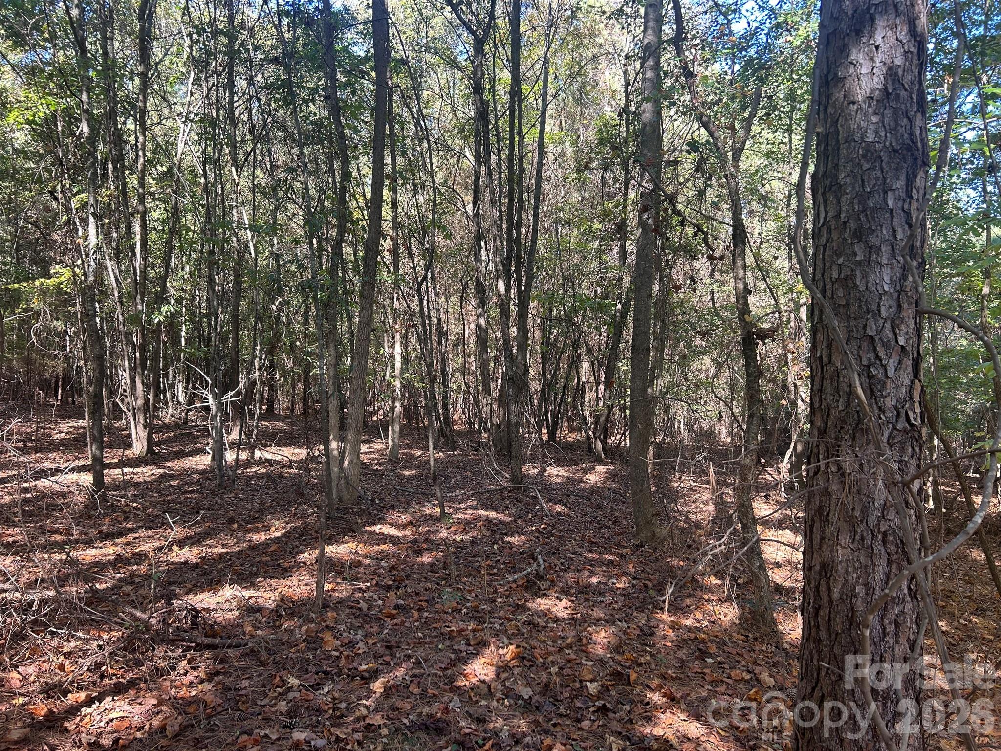 5-ac Lot 2 5-ac Road Richburg, SC 29729 - Photo 4 of 41 a backyard of a house with lots of green space