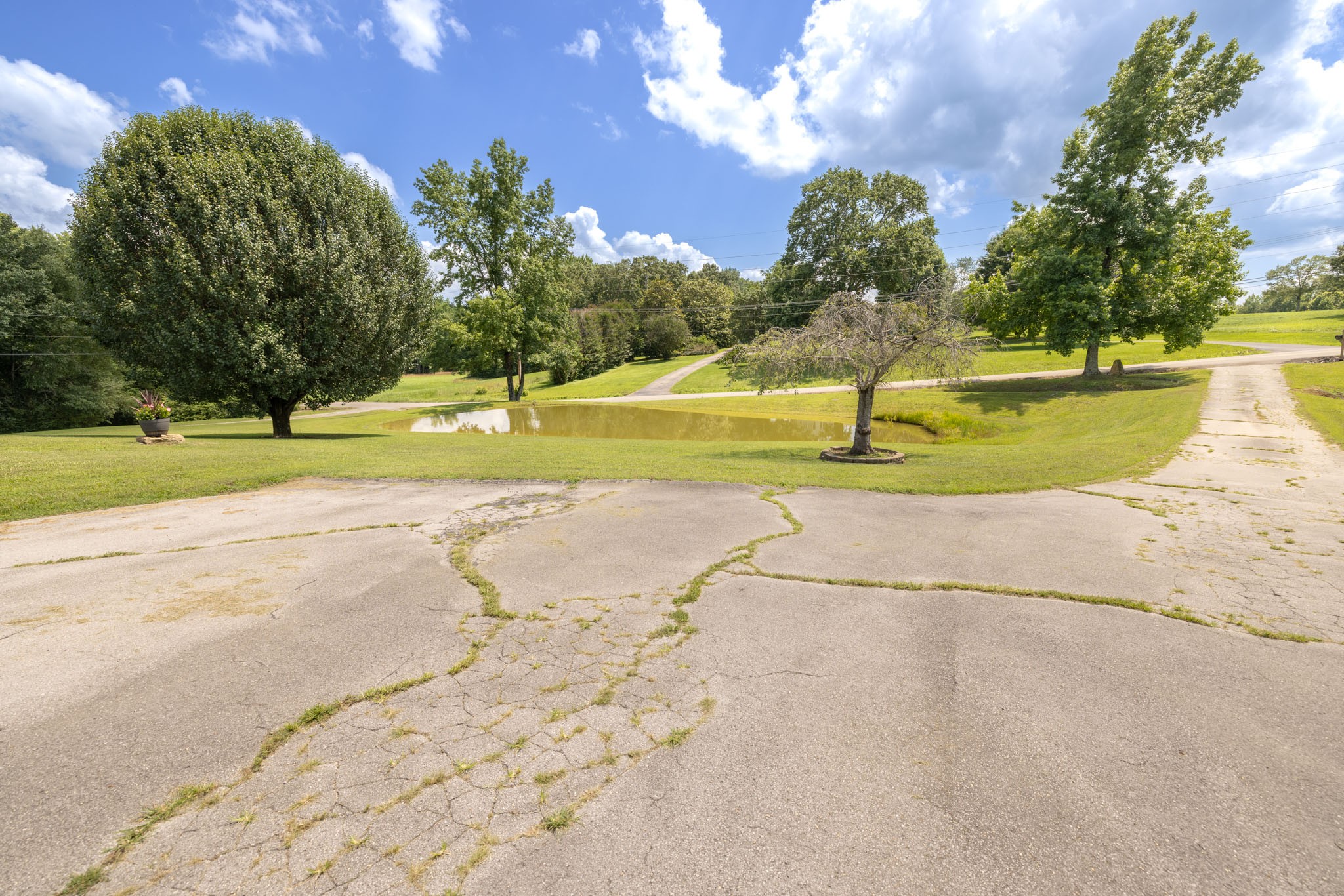 34 Dunn Road Leoma, TN 38468 - Photo 6 of 77