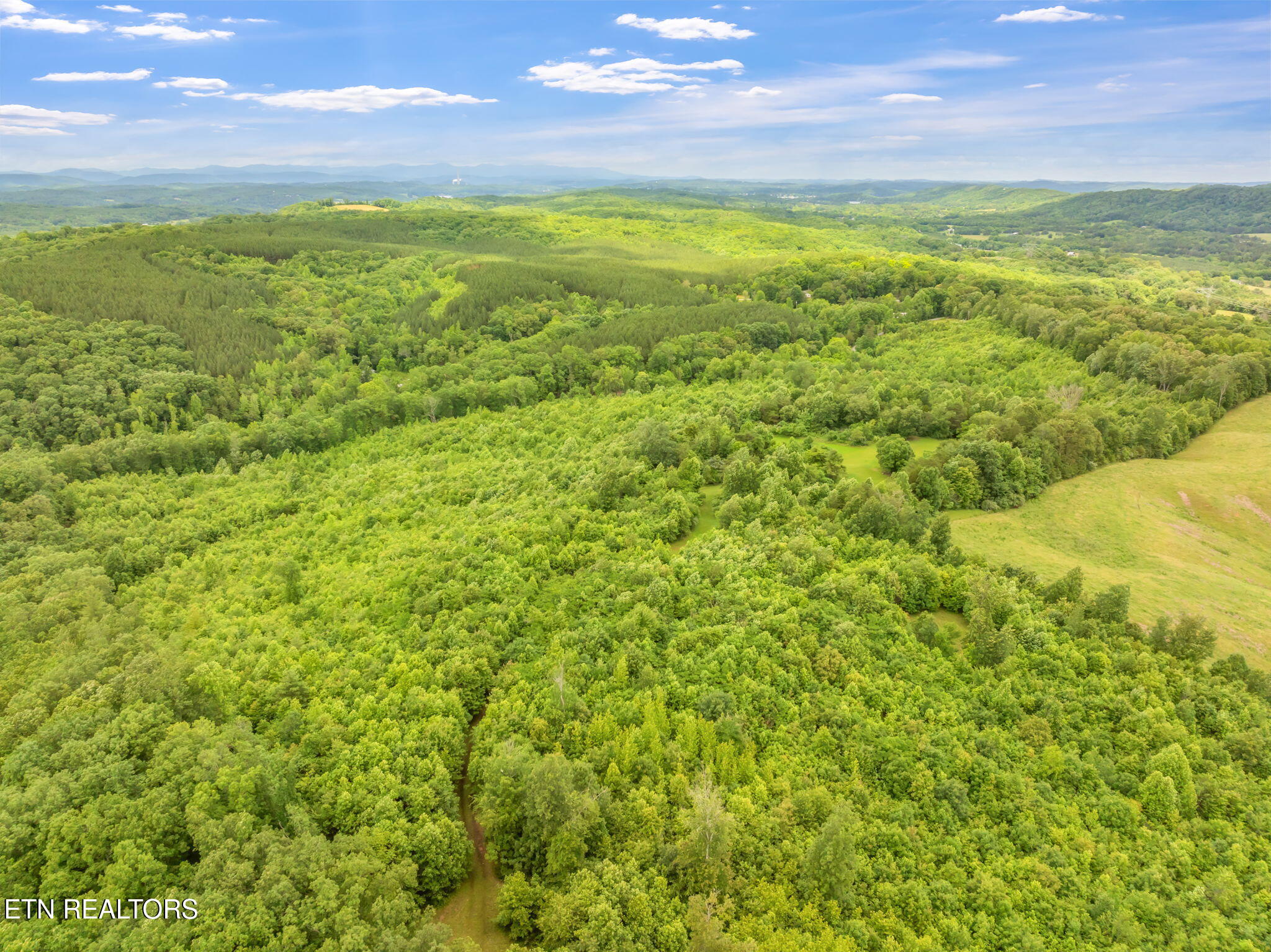 0 Grigsby Hollow Road Kingston, TN 37763 - Photo 14 of 34 15-web-or-mls-Grigsby Hollow Land-12