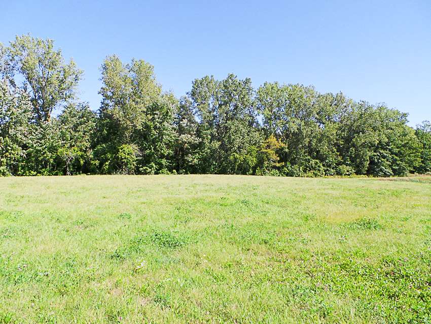 7863 Sheridan Road Birch Run, MI 48415 - Photo 3 of 3