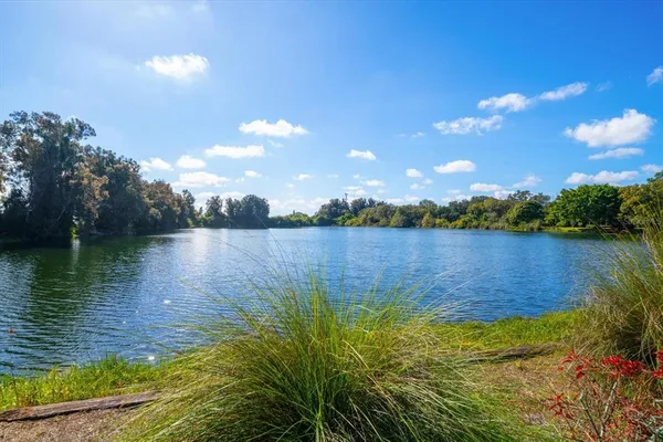 a view of a lake from a yard