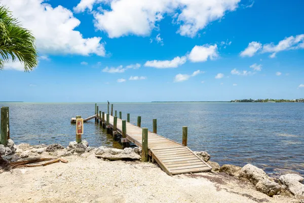 a swimming pool with barbeque oven in front of it