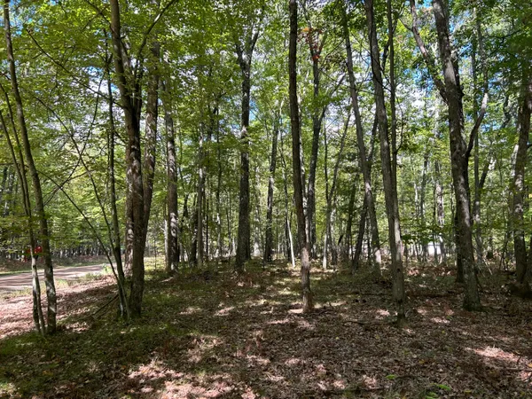 $15,000 | V/l Trail Of The Lakes, Baldwin, MI 49304