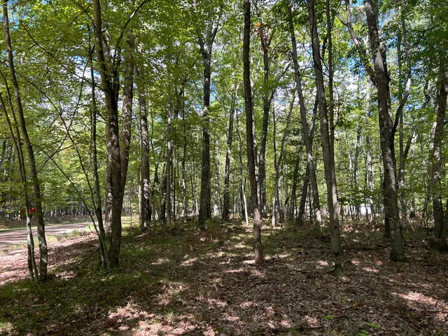 $15,000 | V/l Trail Of The Lakes, Baldwin, MI 49304