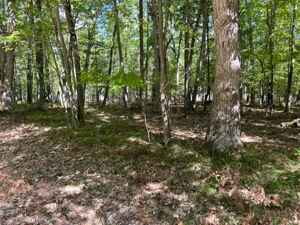 $15,000 | V/l Trail Of The Lakes, Baldwin, MI 49304