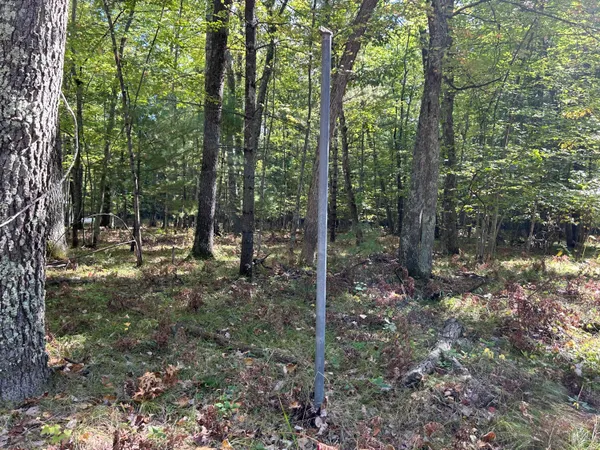 $15,000 | V/l Trail Of The Lakes, Baldwin, MI 49304