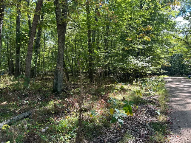 $15,000 | V/l Trail Of The Lakes, Baldwin, MI 49304