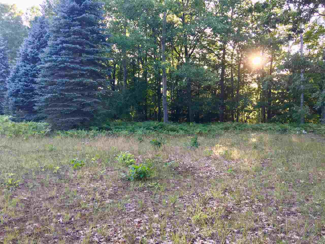 20 East Conrad Road Scottville, MI 49454 - Photo 8 of 18