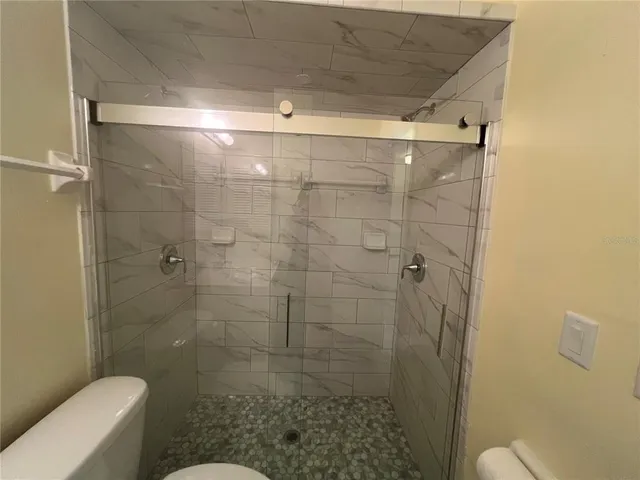 a bathroom with a shower and toilet