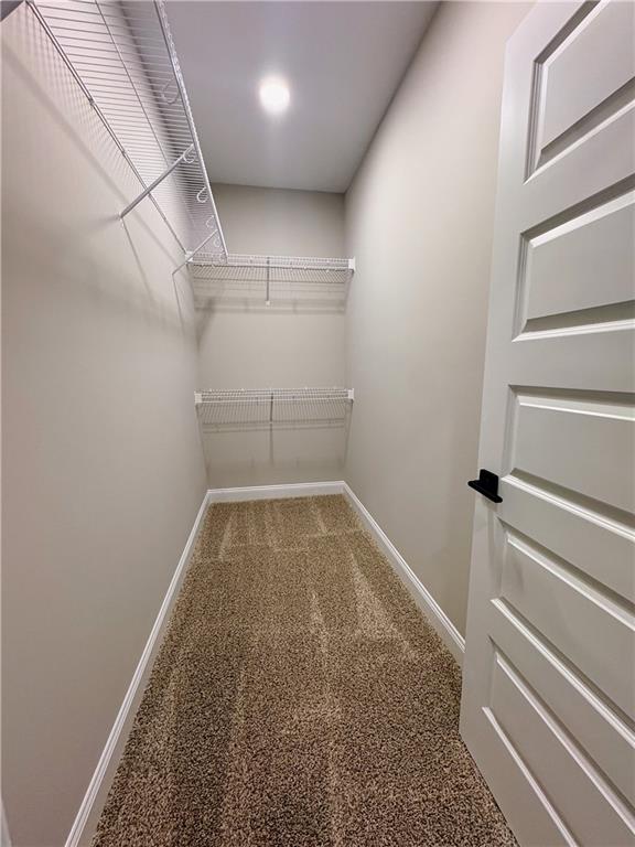 7217 King Road Valley, AL 36854 - Photo 6 of 14 Spacious closet featuring light colored carpet
