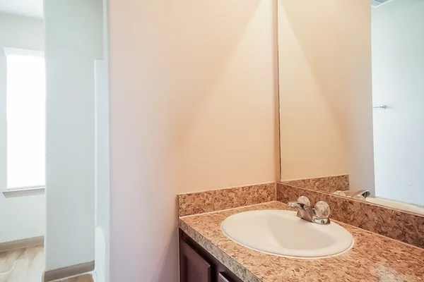 a bathroom with a sink and a mirror