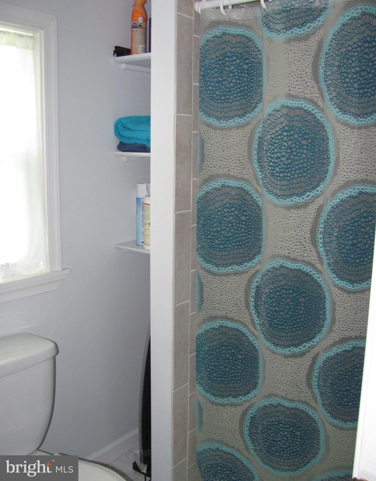 20907 San Mar Road Boonsboro, MD 21713 - Photo 15 of 24 Bath - includes linen storage area, walk-in shower