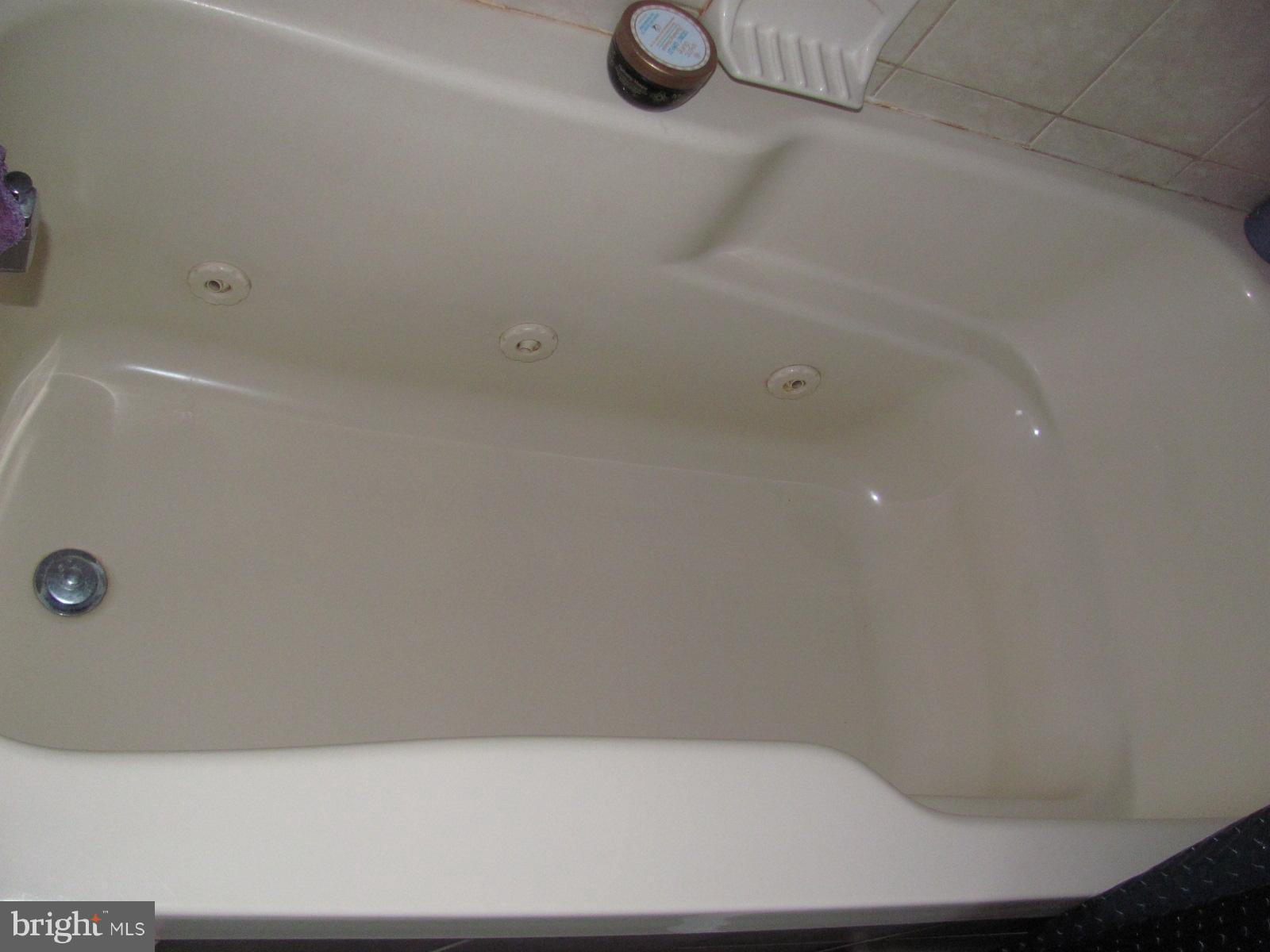 20907 San Mar Road Boonsboro, MD 21713 - Photo 20 of 24 Bath (Master) - soaking tub!