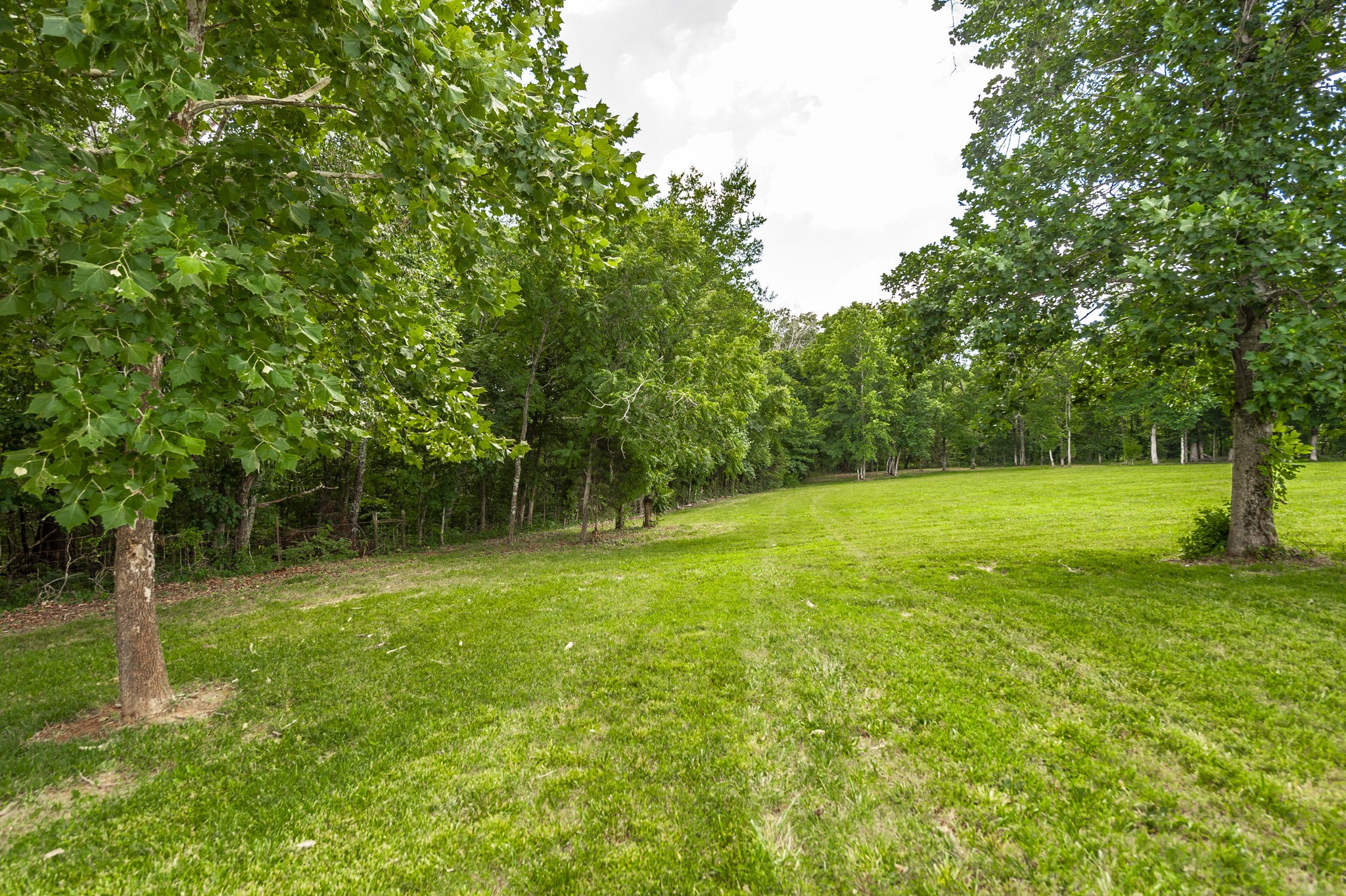 6040 New Cut Road Springfield, TN 37172 - Photo 81 of 84