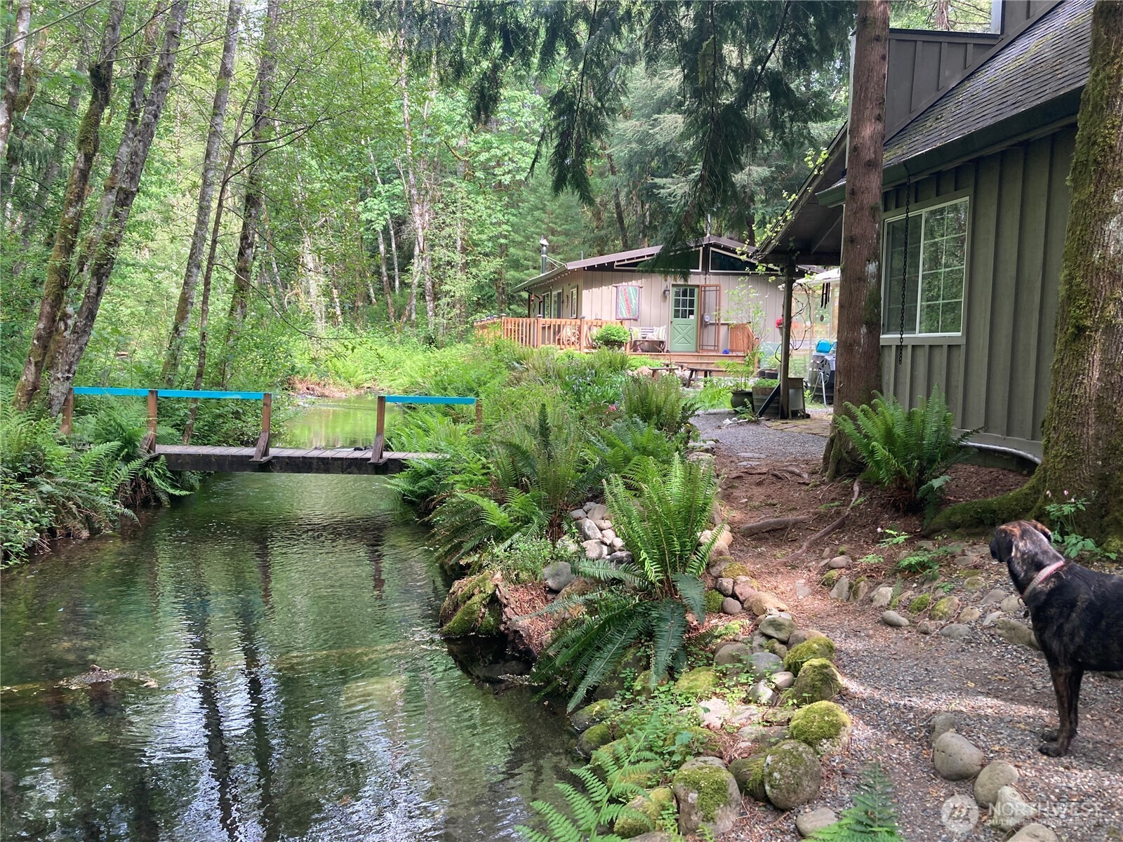 291 Williams Road Ariel, WA 98603 - Photo 30 of 38 Gallery Image 30