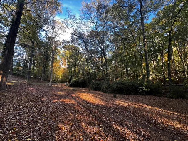 a view of backyard with green space