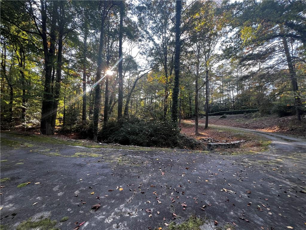 1340 West Garmon Road Northwest Sandy Springs, GA 30327 - Photo 5 of 9 a view of a tree in a yard