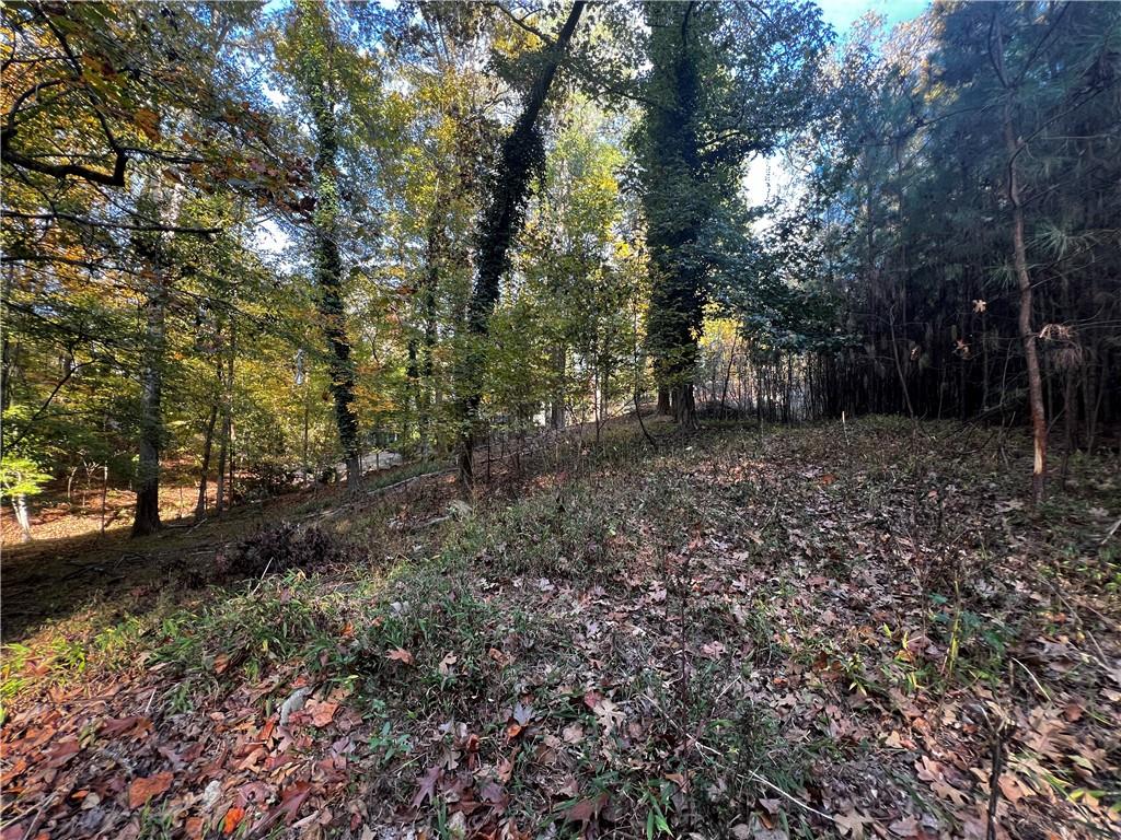 1340 West Garmon Road Northwest Sandy Springs, GA 30327 - Photo 6 of 9 a view of a forest with trees in the background