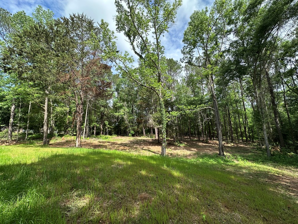 593 Mary McClendon Road Ozark, AL 36360 - Photo 53 of 65
