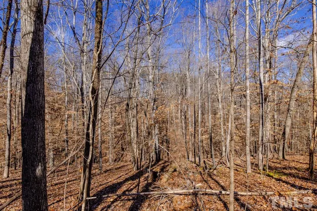 $225,000 | Lot #7 Deer Meadow Road, Semora, NC 27343