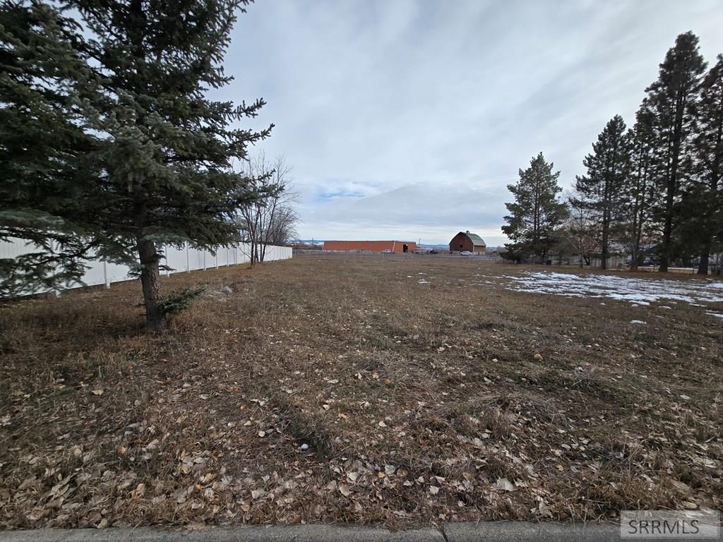 730 Radio Rd Street St. Anthony, ID 83445 - Photo 4 of 9