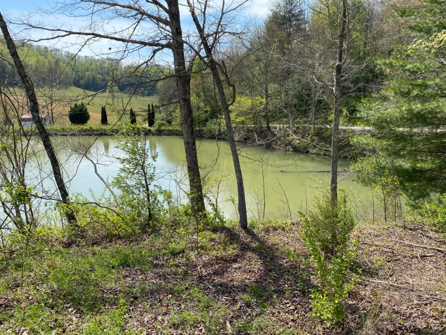 9999 Powell Branch Road Bimble, KY 40915 - Photo 9 of 15 Photo 9