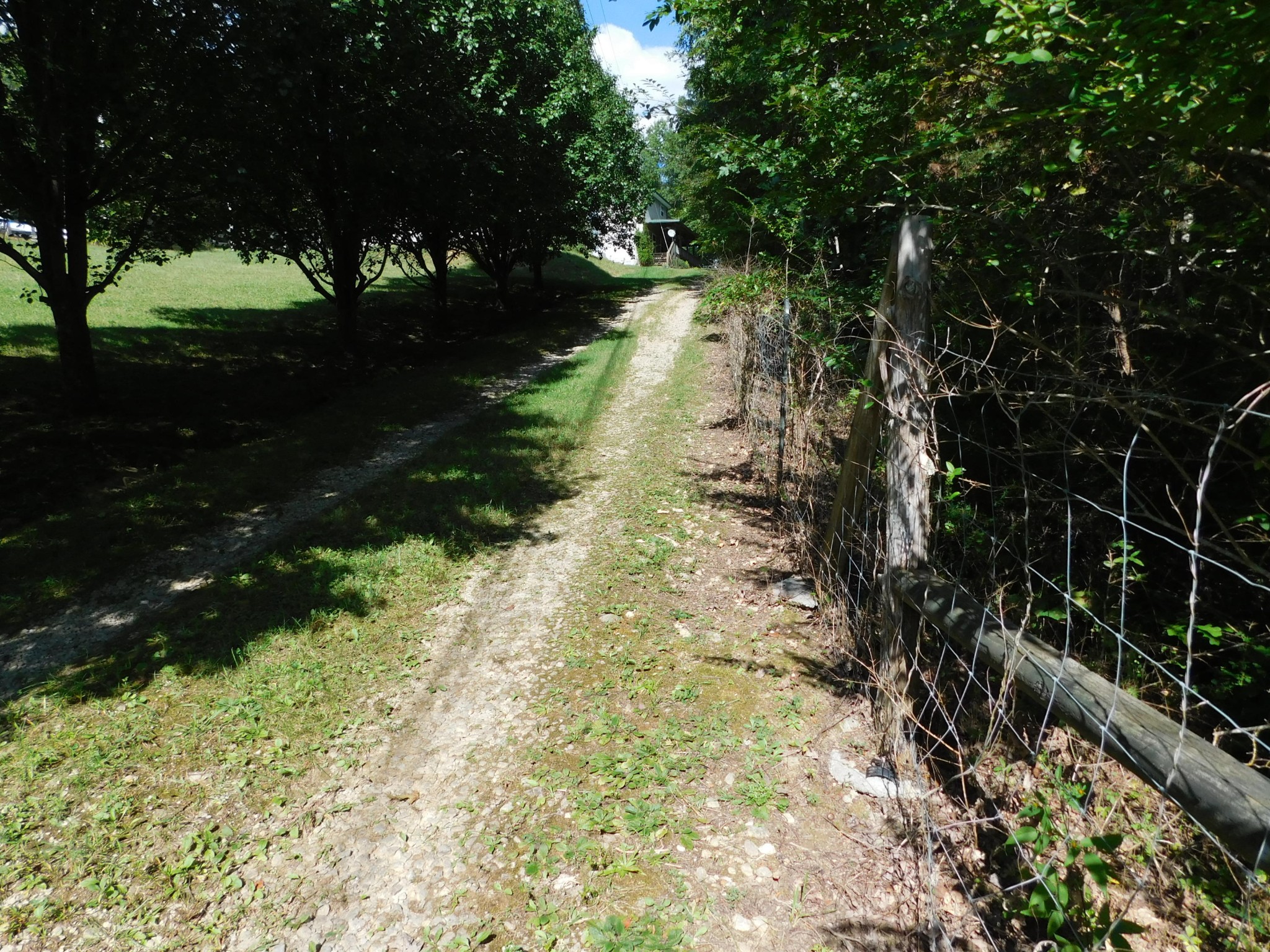 517 Hicks Road Oneida, TN 37841 - Photo 11 of 40