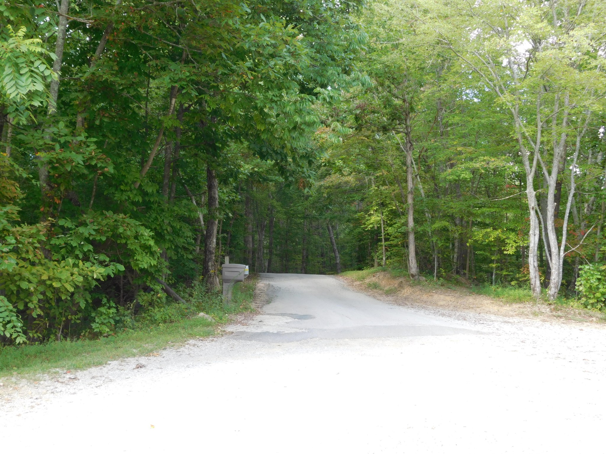 517 Hicks Road Oneida, TN 37841 - Photo 15 of 40