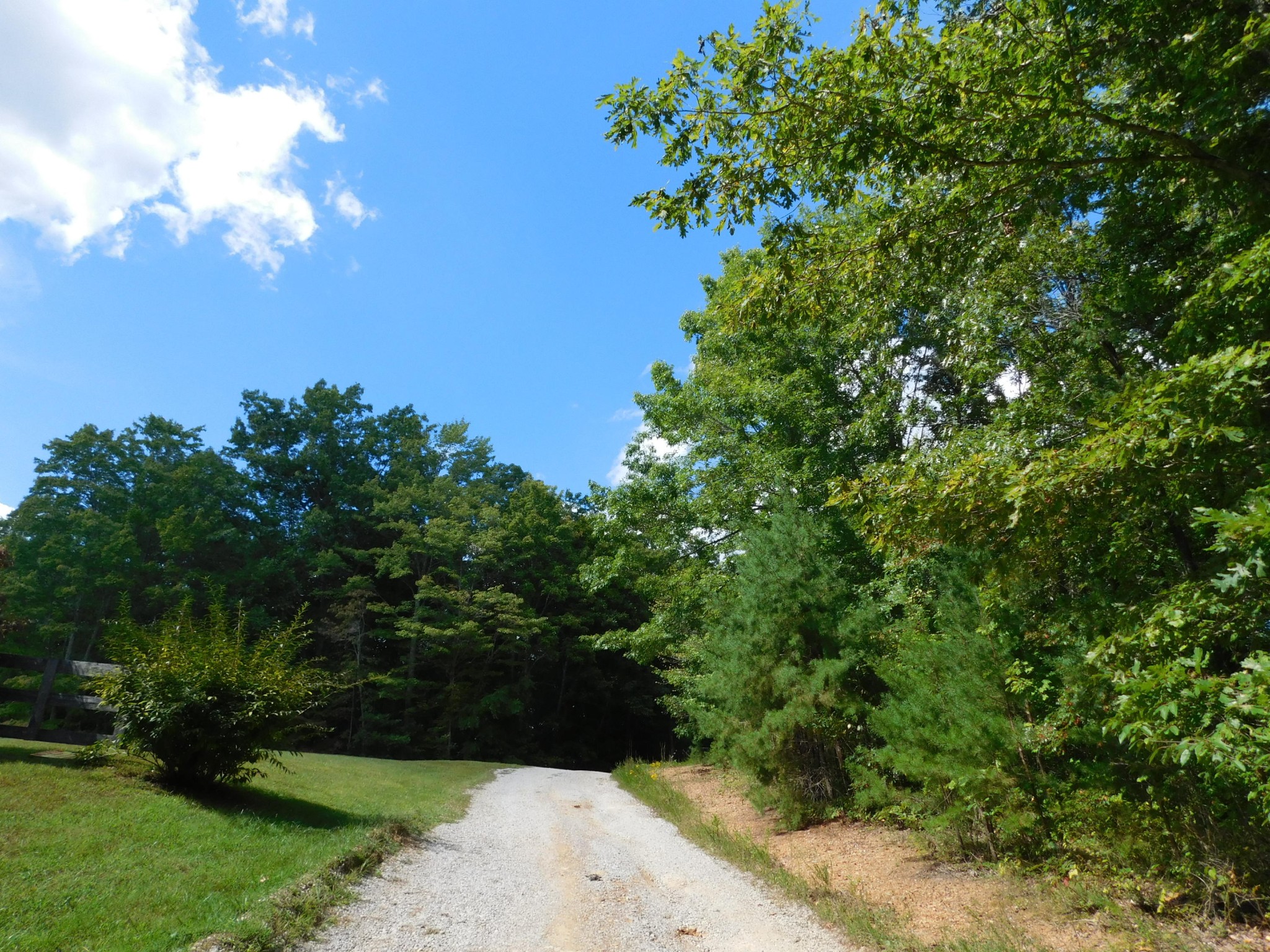 517 Hicks Road Oneida, TN 37841 - Photo 4 of 40