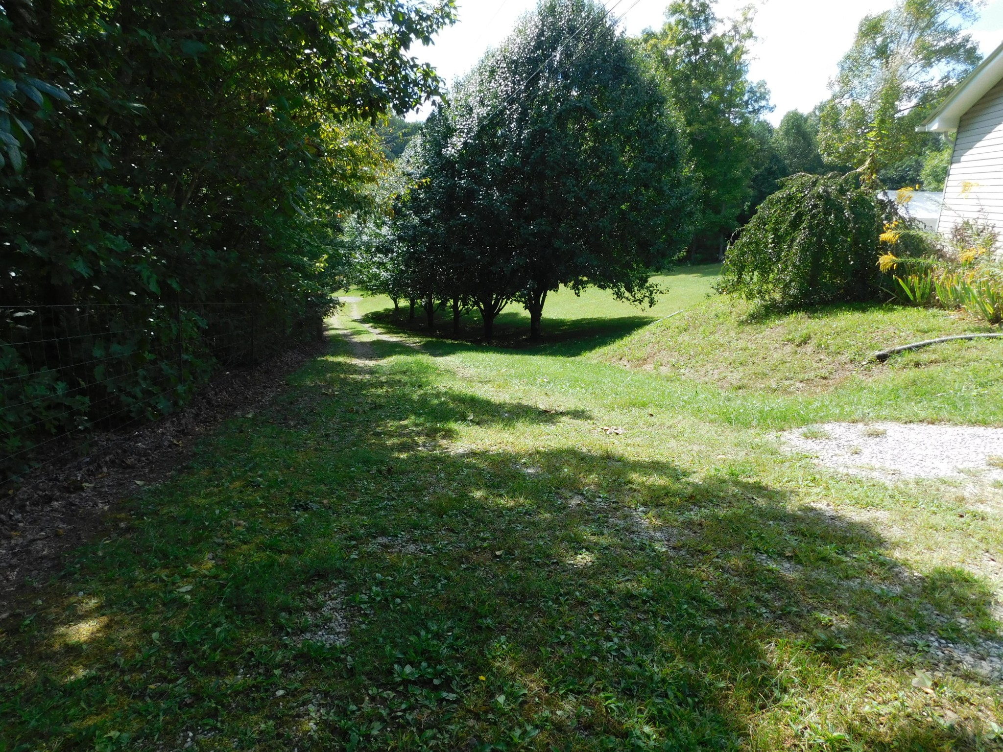 517 Hicks Road Oneida, TN 37841 - Photo 8 of 40