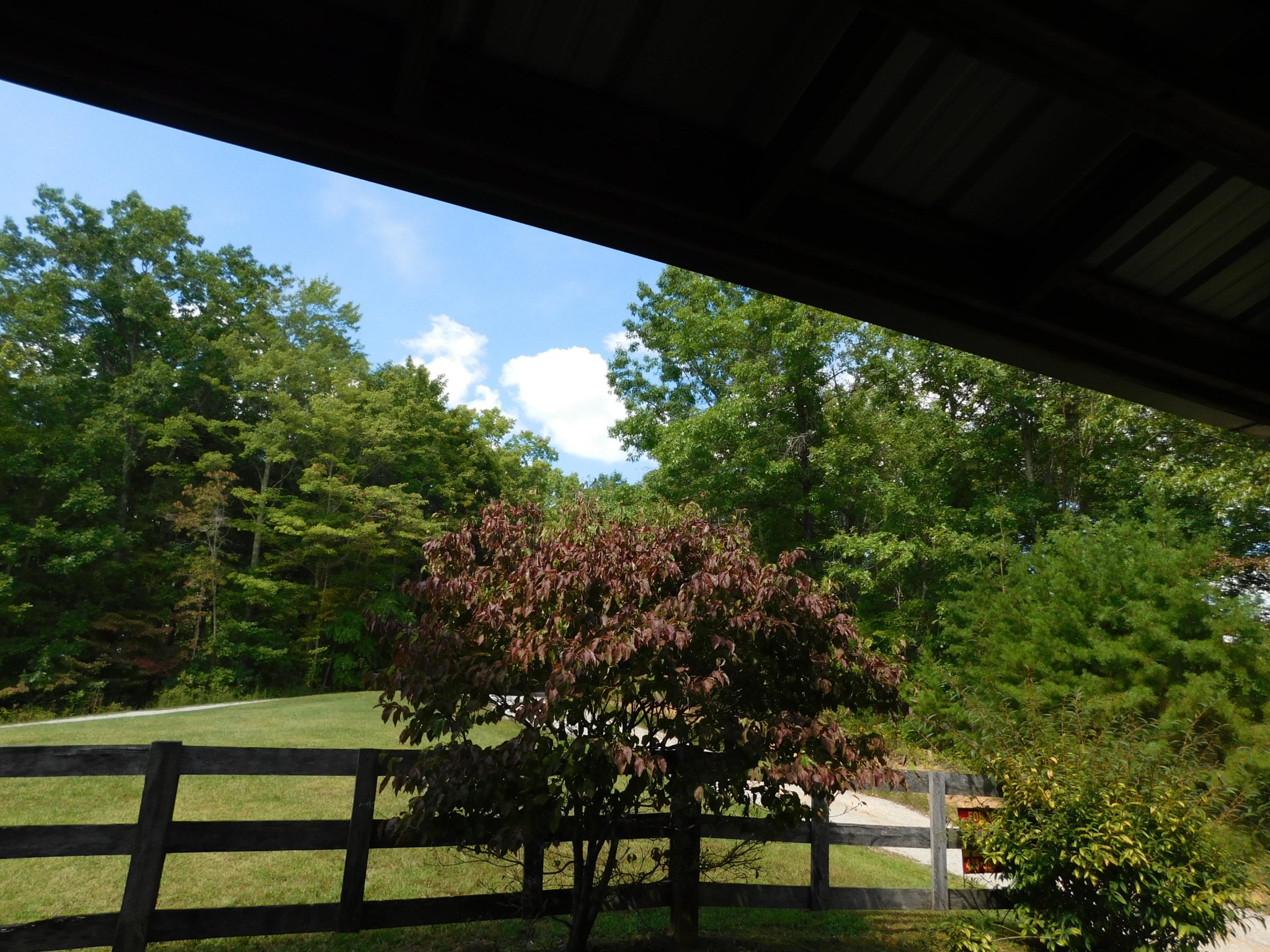 517 Hicks Road Oneida, TN 37841 - Photo 10 of 40