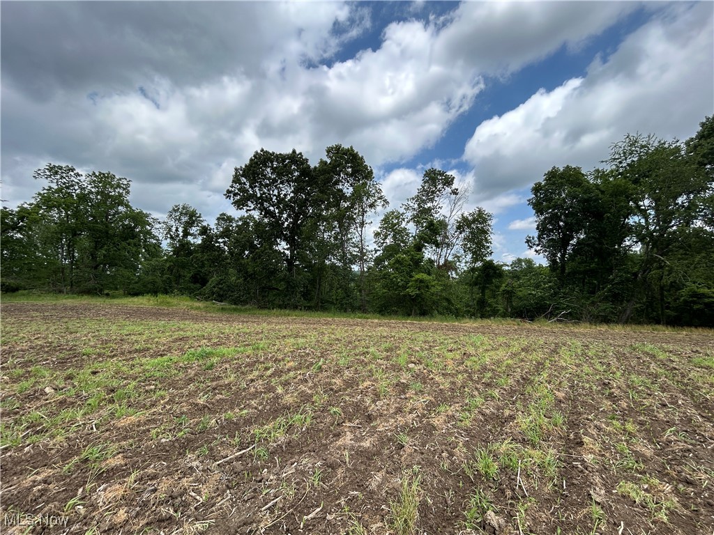 346 Township Road Warsaw, OH 43844 - Photo 14 of 49 Gallery Image 14