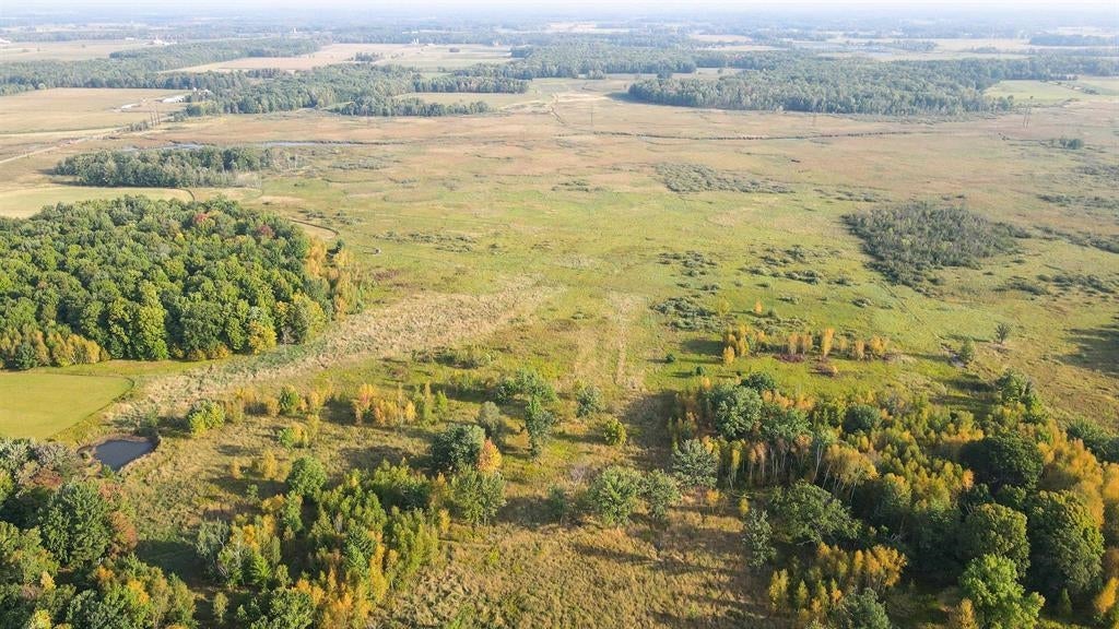 40-acres County Road South Rudolph, WI 54475 - Photo 6 of 21 Gallery Image 6