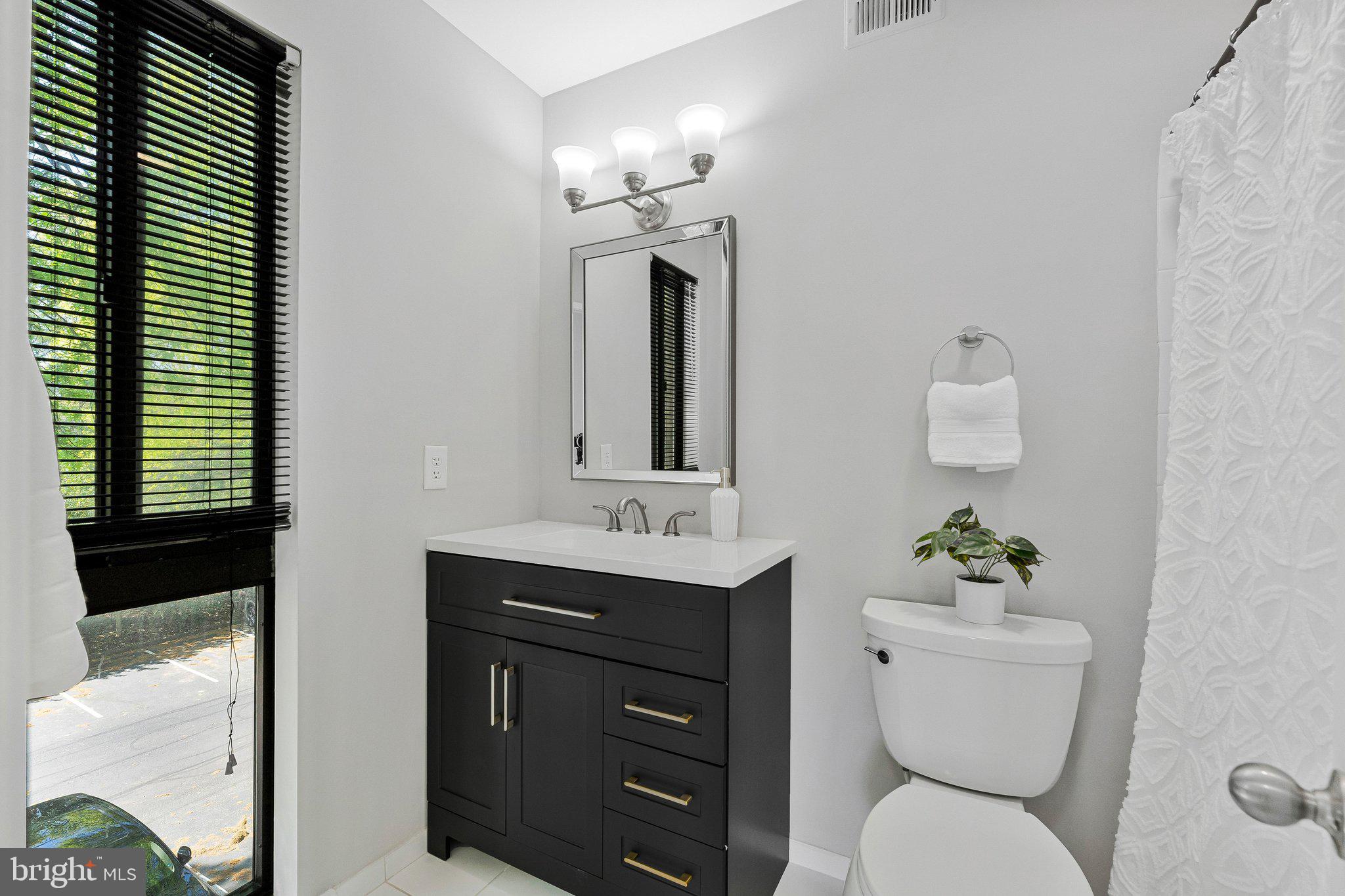 11616 Ivystone Court, Unit 5/300A Reston, VA 20191 - Photo 19 of 25 a bathroom with a toilet a sink and mirror