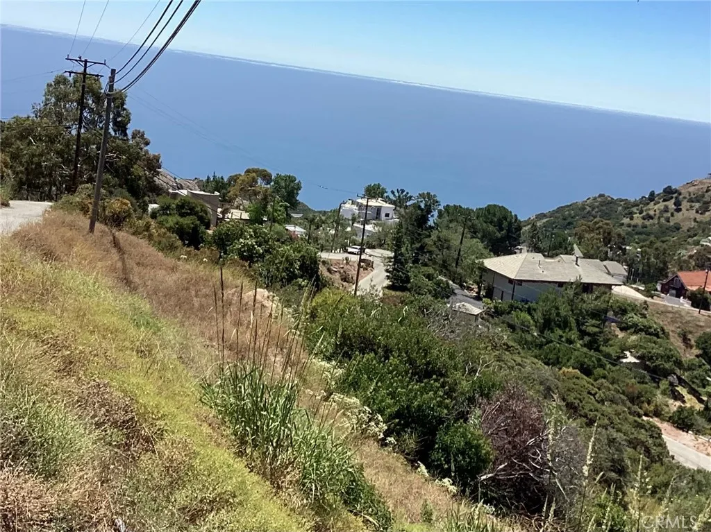 24725 West Saddle Peak Road Topanga, CA 90290 - Photo 9 of 13 a view of a bunch of trees and bushes