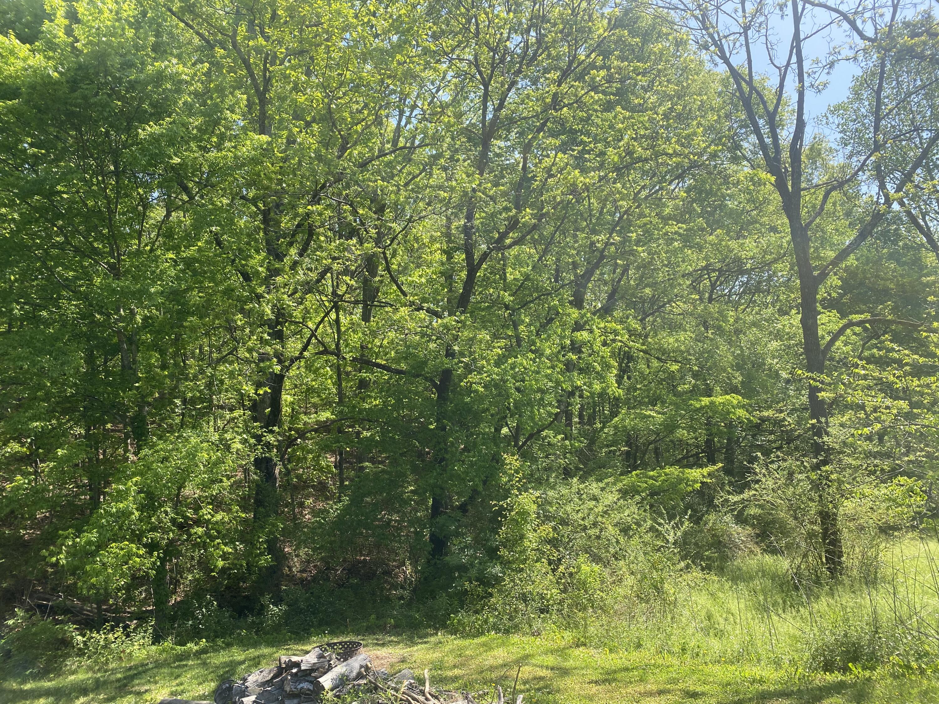 8423 Pine Ridge Road Ooltewah, TN 37363 - Photo 26 of 76 IMG_8548
