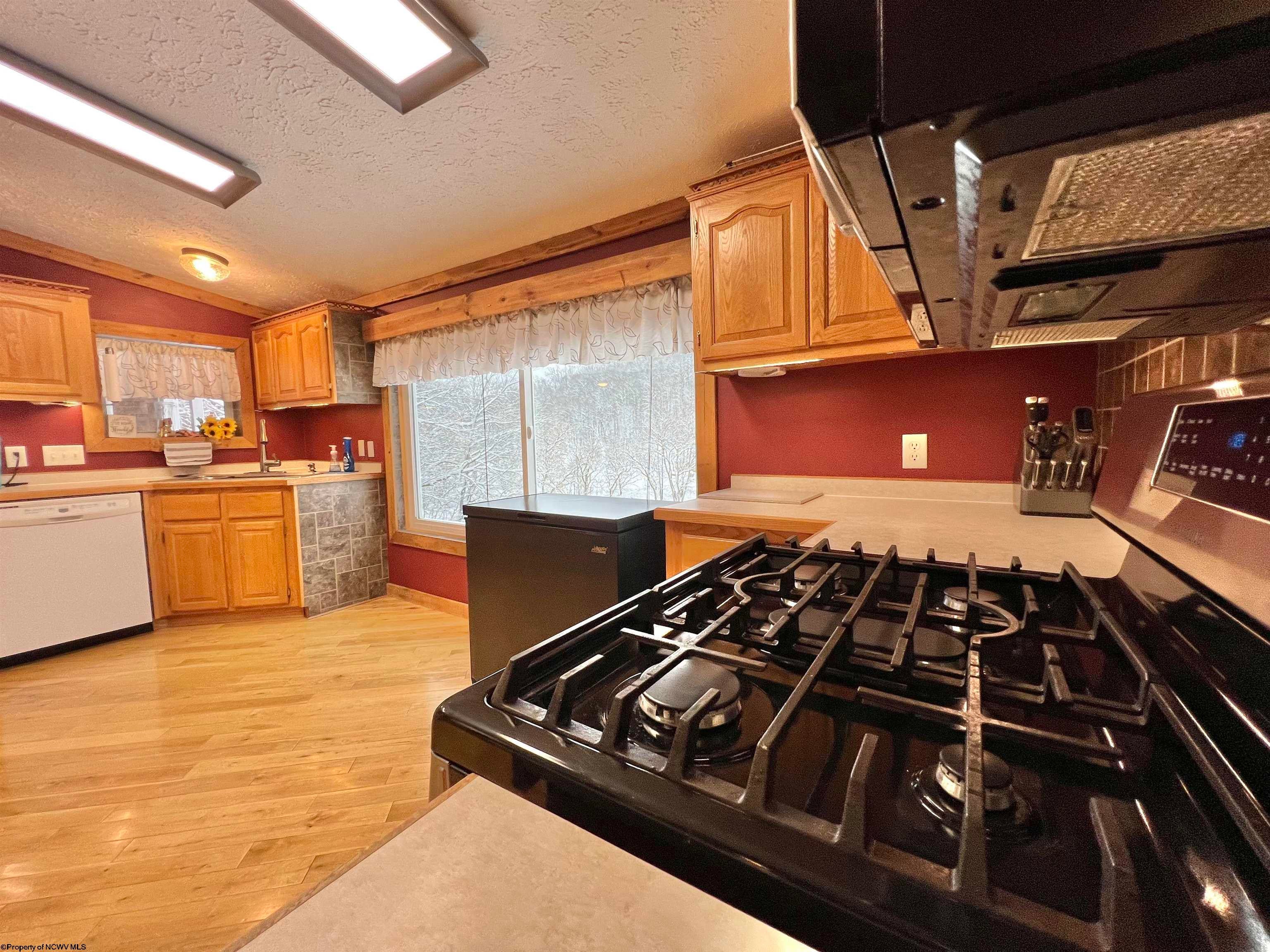 9467 Exchange Road Exchange, WV 26619 - Photo 11 of 50 Gallery Image 11