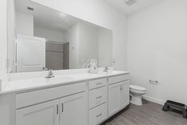 a bathroom with a sink and a toilet