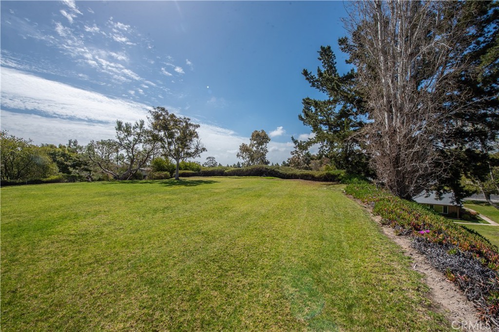 4433 Albatross Way Oceanside, CA 92057 - Photo 7 of 47 a yard with swimming pool and green space