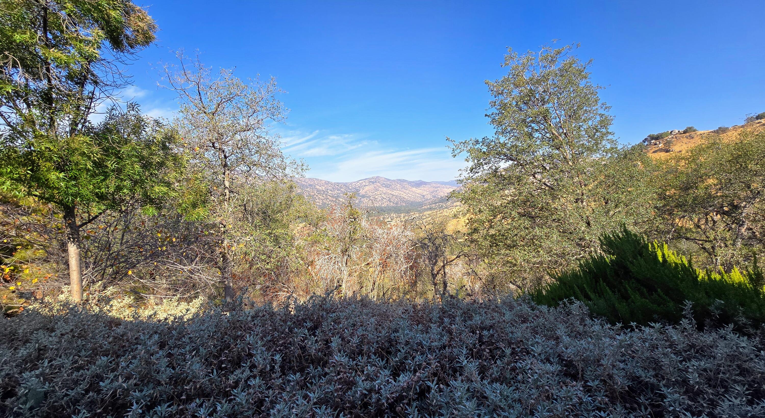 41299 East Mynatt Drive Three Rivers, CA 93271 - Photo 15 of 121 20250929_100553