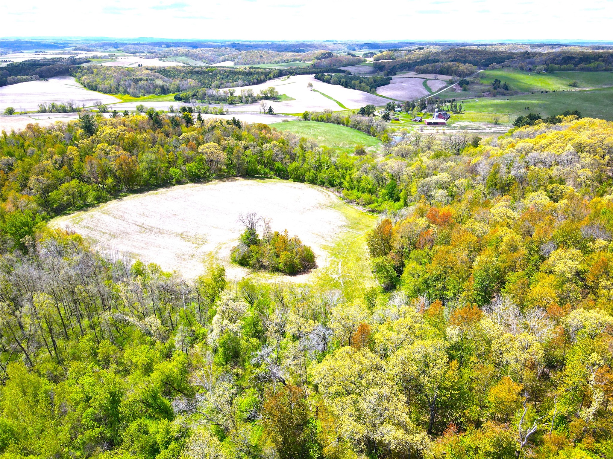 125-acres Steig Coulee Road Osseo, WI 54758 - Photo 17 of 32