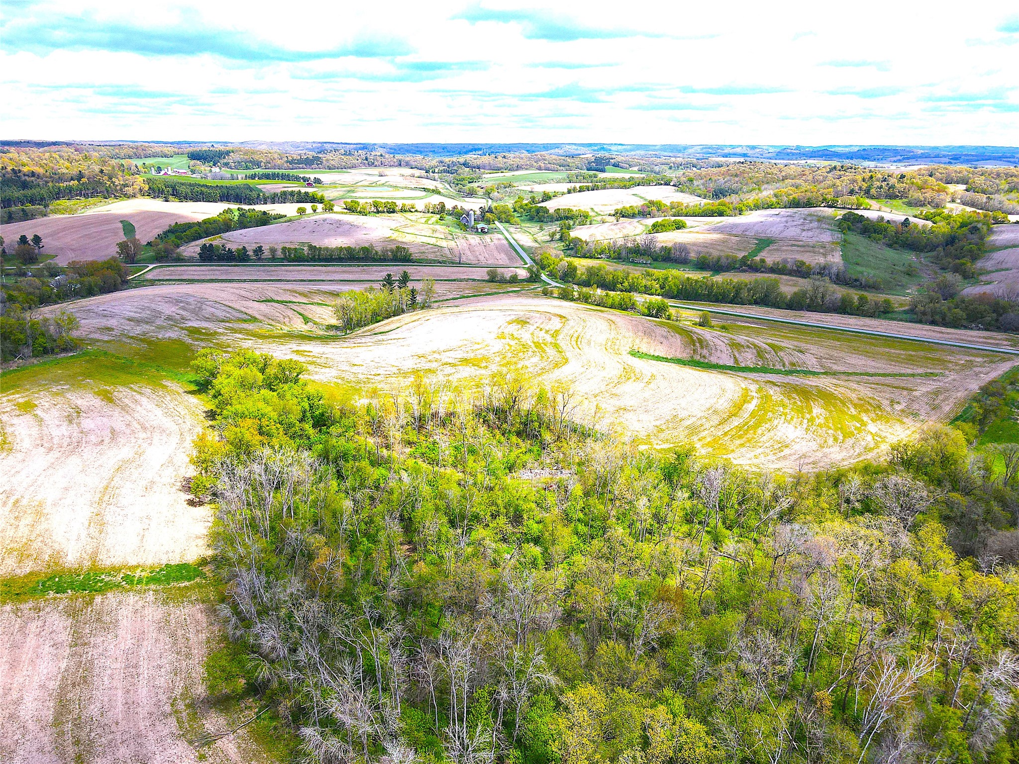 125-acres Steig Coulee Road Osseo, WI 54758 - Photo 20 of 32