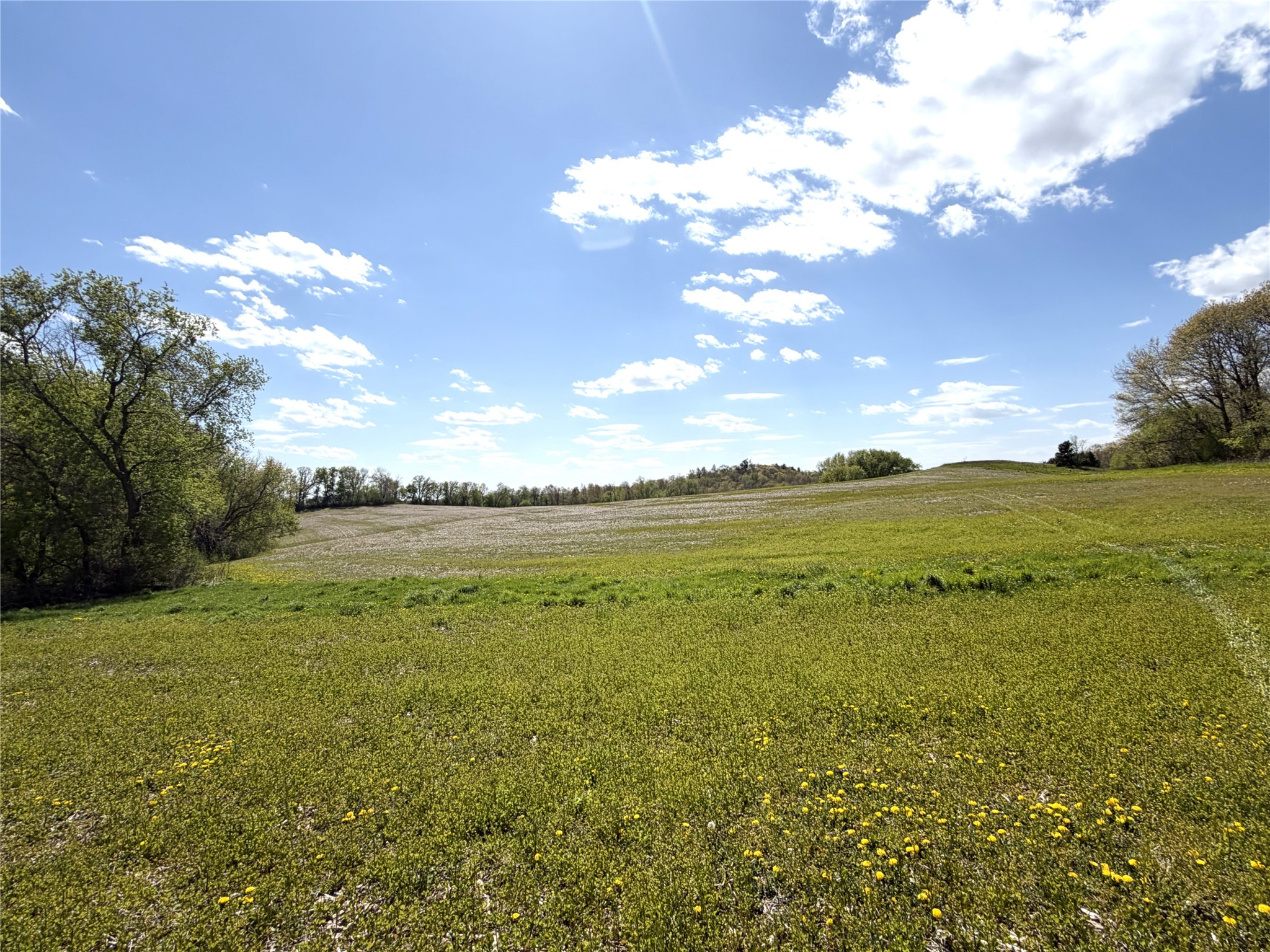 125-acres Steig Coulee Road Osseo, WI 54758 - Photo 21 of 32